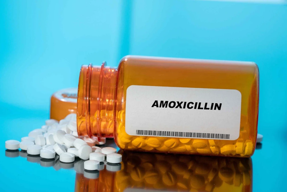 amoxicillin-for-uti amoxicillin for UTI