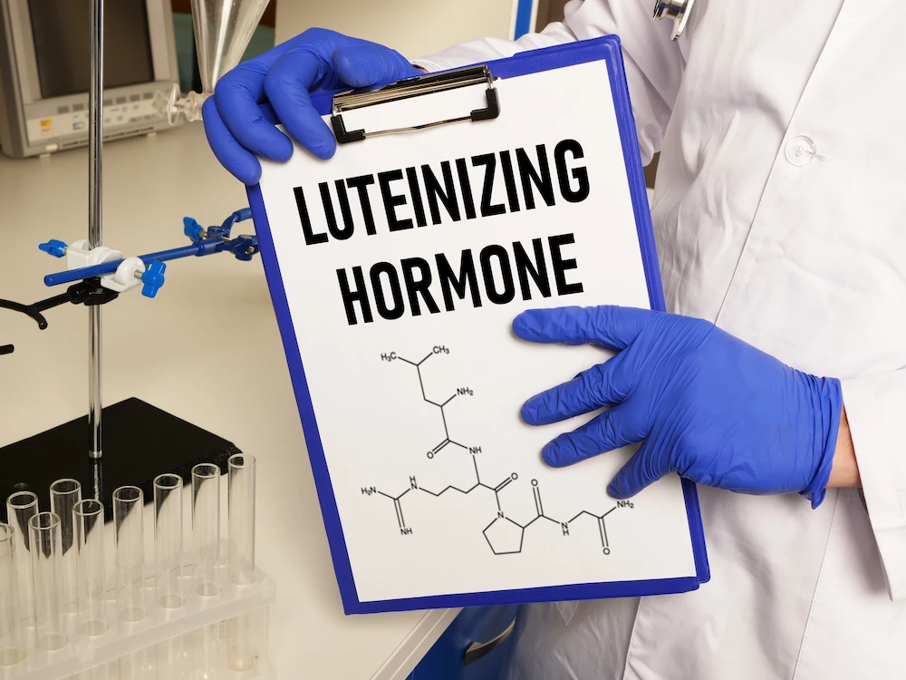 how-long-does-lh-stay-elevated-after-ovulation how long does LH stay elevated after ovulation
