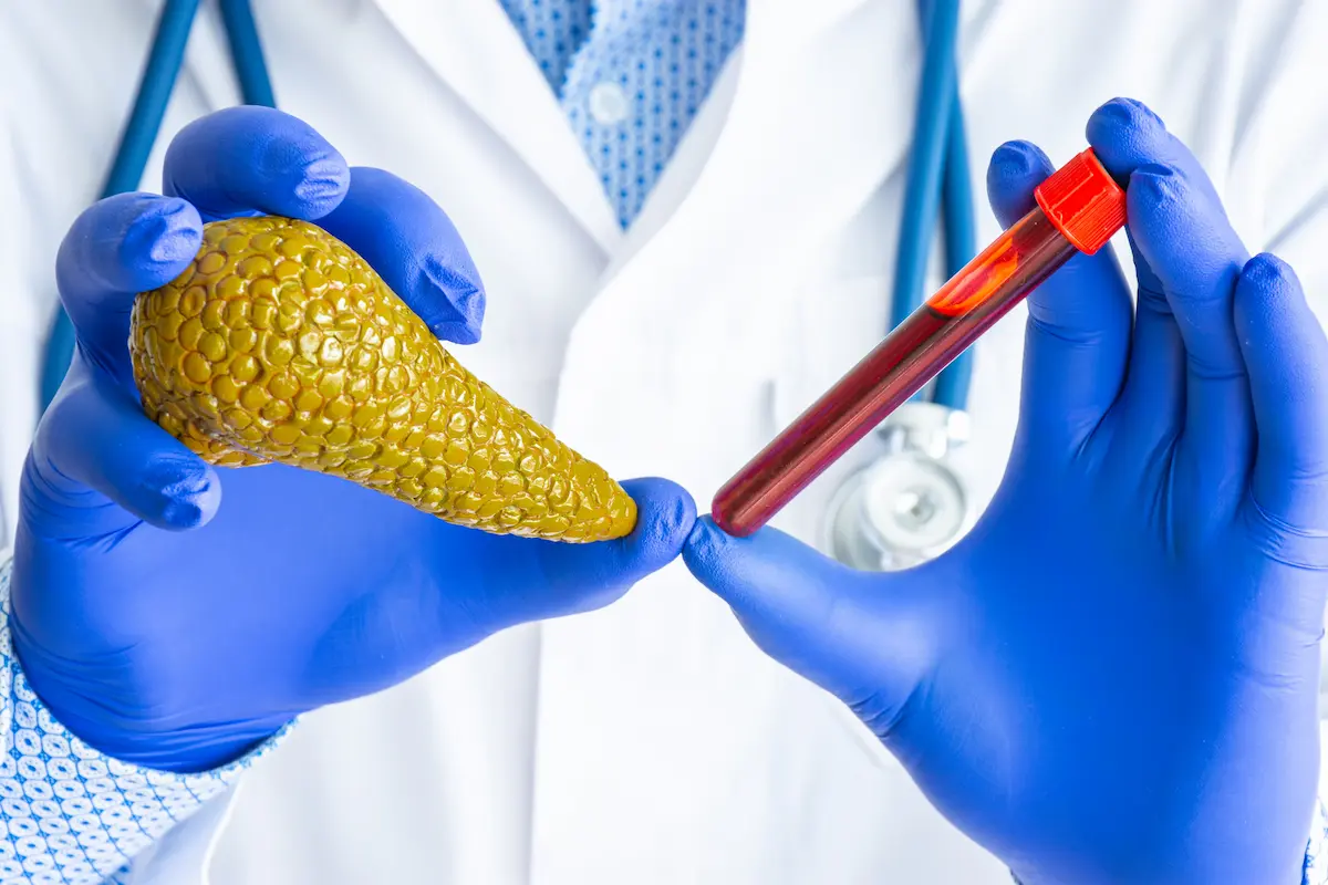 what-is-lipase-in-blood-test what is lipase in blood test